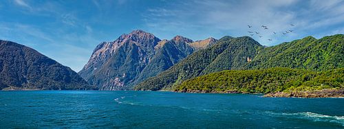 Panorama van Milford Sound, Nieuw Zeeland