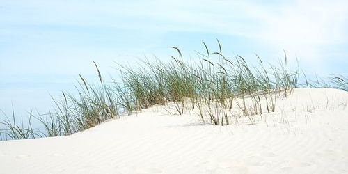 Dune in the spring sun by Reiner Würz / RWFotoArt