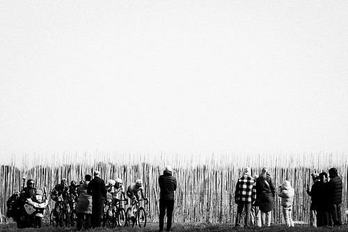 Les amateurs de cyclisme