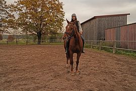 Training with the bay Oldenburg mare on a riding arena