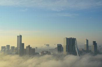 Frühnebel am Morgen