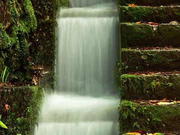 L'escalier d'eau sur Oliver Lahrem