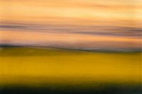 Horizon jaune