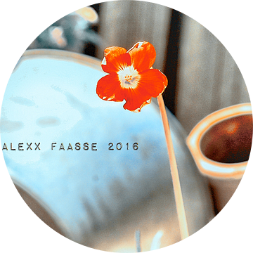 NOG EEN KLAVERTJEVIER IN BLOEI (ALEXX FAASSE, 2016) van Alex Faasse