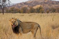 Namibia: a land of extremes and breathtaking beauty.