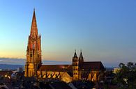 Cathédrale illuminée de Fribourg par Patrick Lohmüller Aperçu