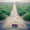 Blick über den Tiergarten von der Siegessaule in Berlin von Sven Wildschut