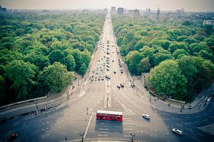 Blick über den Tiergarten von der Siegessaule in Berlin von Sven Wildschut
