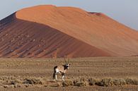 Oryx - Sossusvlei - Namibië van Eddy Kuipers thumbnail