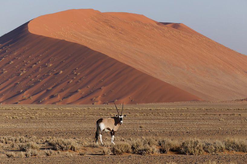 Oryx - Sossusvlei - Namibië van Eddy Kuipers