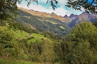 Uitzicht op de Oostenrijkse Alpen van Louise Poortvliet thumbnail