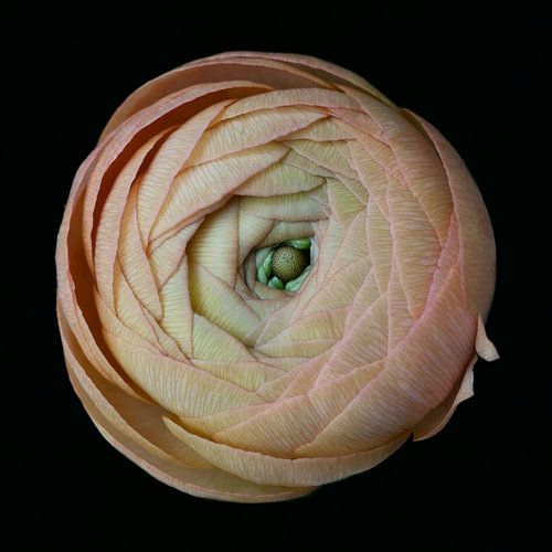 Ebenen von Karin Bakker Fotografie