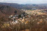 Uitzicht op Bad Harzburg vanaf de kasteelheuvel (Nedersaksen) van t.ART thumbnail