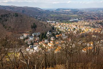 Uitzicht op Bad Harzburg vanaf de kasteelheuvel (Nedersaksen) van t.ART