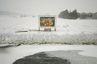 Winterbloemen!