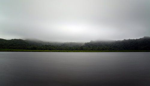 forêt tropicale dans les nuages