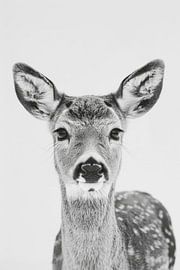 Deer portrait by Poster Art Shop