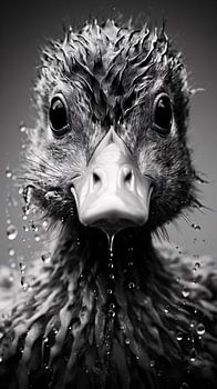 Vogel Portrait in Schwarz-Weiß