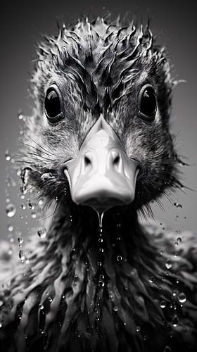 Portrait d'oiseau en noir et blanc