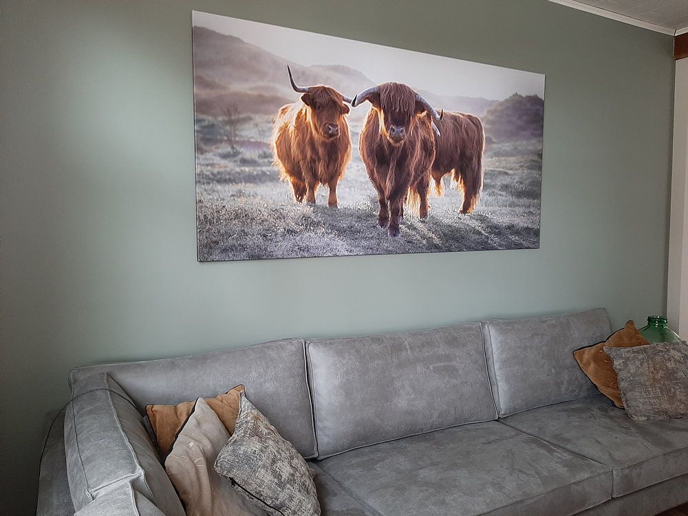 Highlanders écossais par Karel Ton