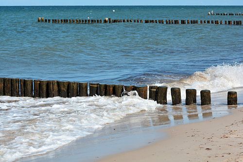 Golfbreker op het strand van de Oostzee