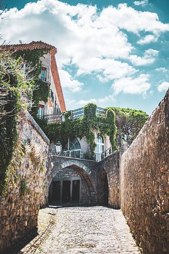 Carcassonne (France)