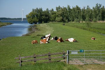 Hollands Landschap van Joram Schilten
