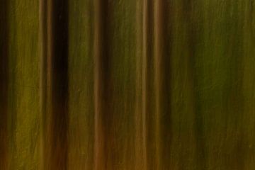 Herfst in het bos | abstracte landschapsfotografie van Marjolijn Maljaars