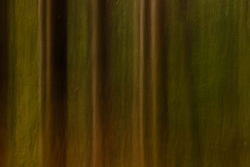 Autumn in the woods | abstract landscape photography by Marjolijn Maljaars