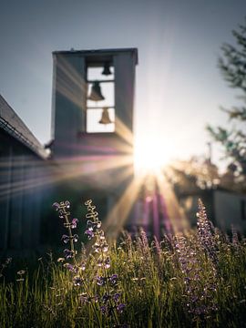 Salbei vor einer Kirche von Tobias Wartenberg