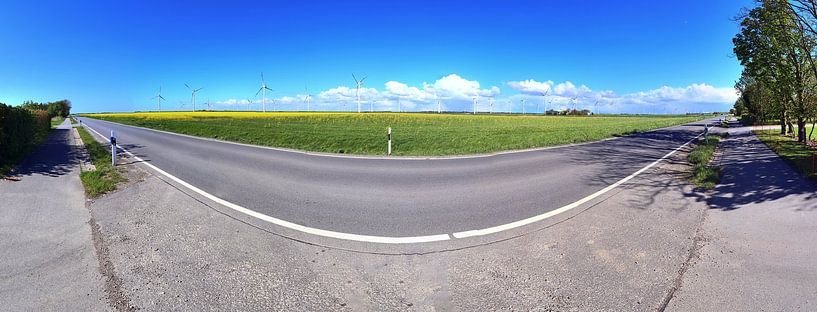 Panorama van een prachtig Noord-Duits landschap met paden en wegen van MPfoto71