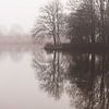 Brouillard dans le Prinsenbos sur Shot By DiVa