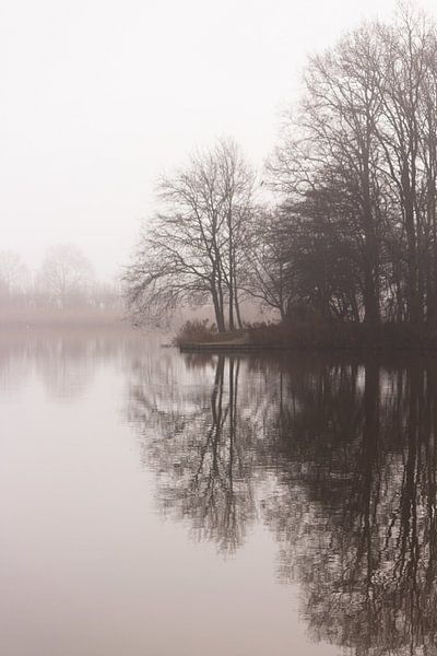 Fog in the Prince's Forest by Shot By DiVa