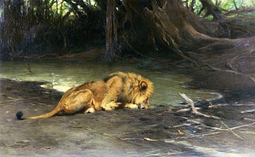 Leeuw bij de drinkplaats, WILHELM KUHNERT, ca. 1907-1911
