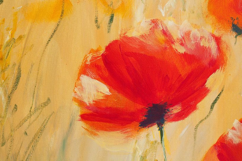 Roter Mohn von Karen Kaspar