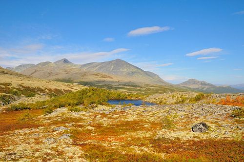 Rondane Nationaal Park