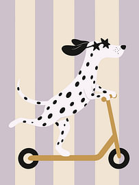 Cool Dog – Un dalmatien en scooter sur Marco Müller-Vo