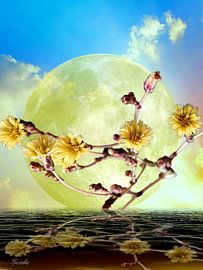 Wasserwelt von Gertrud Scheffler