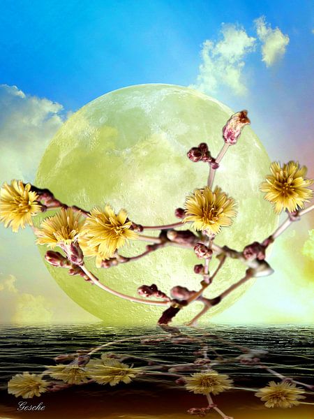 Wasserwelt by Gertrud Scheffler