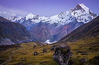 Fischschwanz Berg in Nepal von Roel Beurskens Miniaturansicht