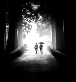 Weg ins Licht von Alexander Dorn