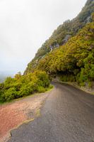 Het landschap van Madeira