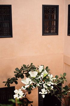 Courtyard in the city of Marrakesh (Morocco)