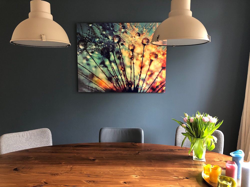 Pusteblume Tautropfen  von Julia Delgado