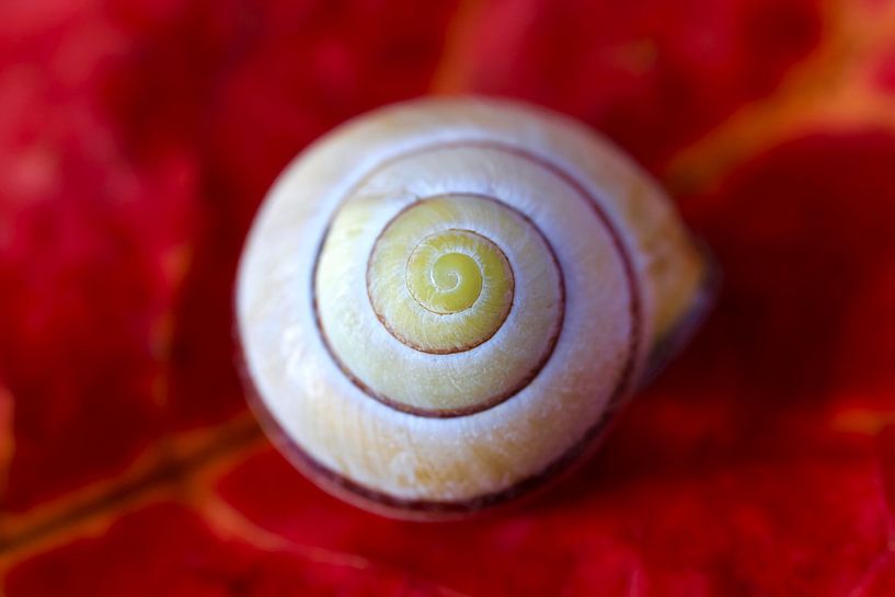 Swinging by Thomas Jäger