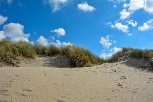 Noordzee - Duinen
