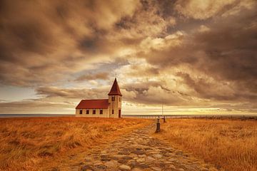 Magical Iceland by Saskia Dingemans Awarded Photographer