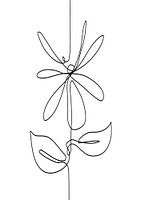 Line drawing abstract flower black line on white background - in the shape of a daisy