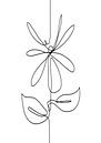Lijntekening abstracte bloem zwarte lijn op witte achtergrond - in de vorm van een madelief van Emiel de Lange thumbnail