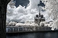 Notre-Dame de Paris van Rainer Pickhard thumbnail